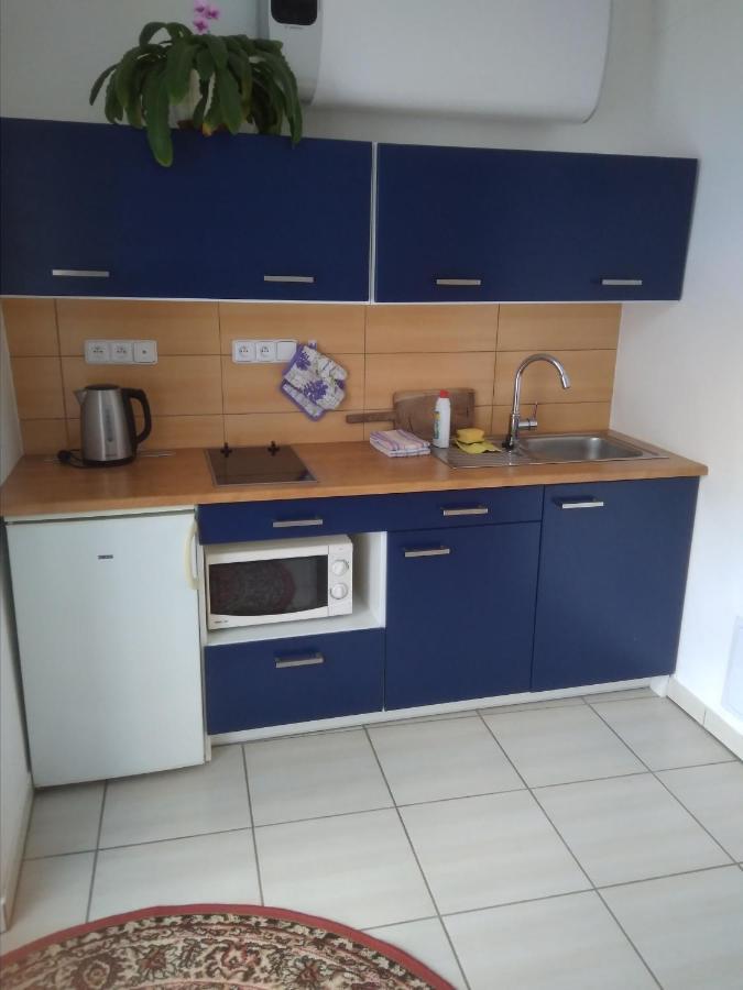 Apartamento Dvůr v Borovné Borovná Exterior foto