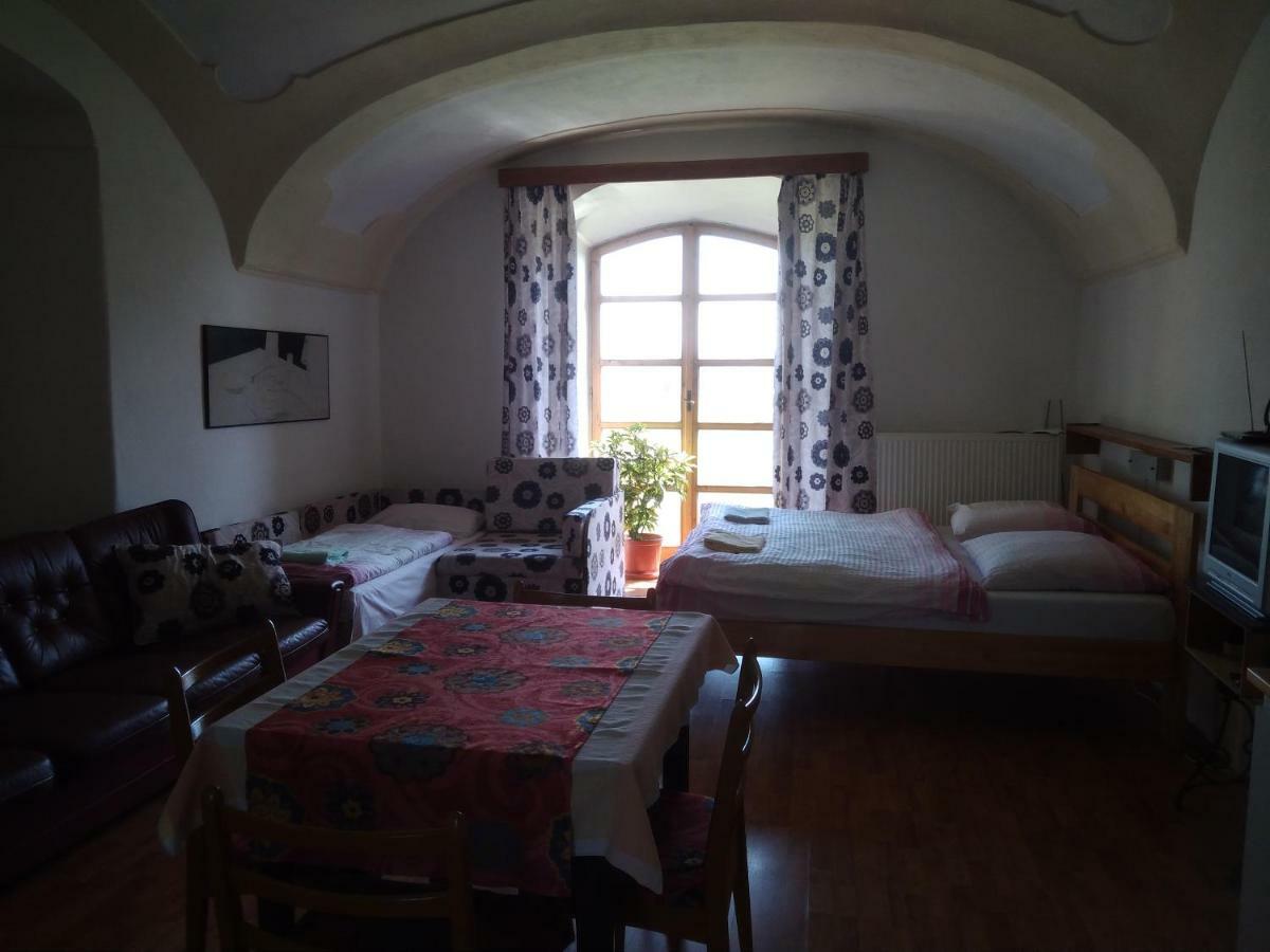 Apartamento Dvůr v Borovné Borovná Exterior foto